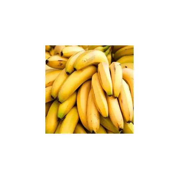 موز اکوادور یک کیلوگرمی