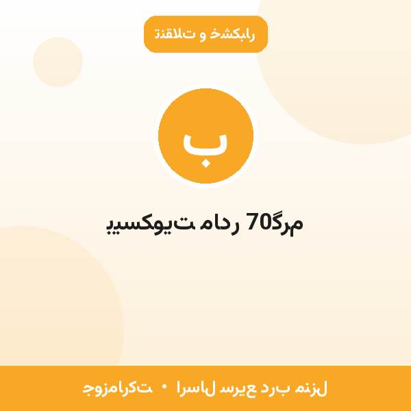 بیسکویت مادر 70گرم