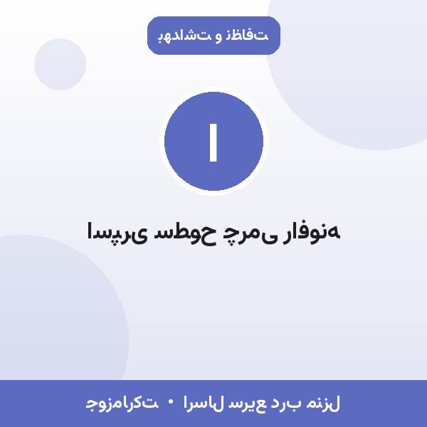اسپری سطوح چرمی رافونه