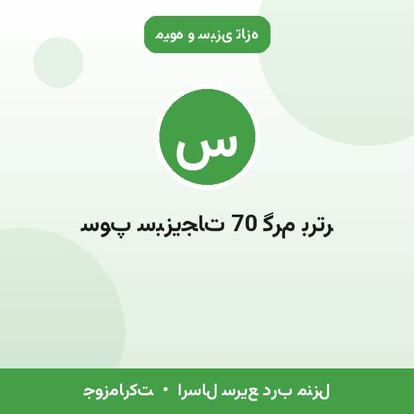 سوپ سبزیجات 70 گرم برتر