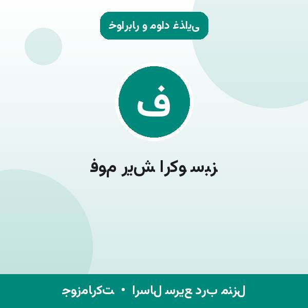 فوم ریش ارکو سبز